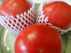 完熟　トマト