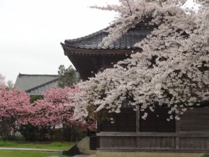 畑野　熊野神社