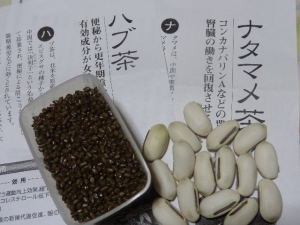 ナタ豆　ハブ茶　の　種
