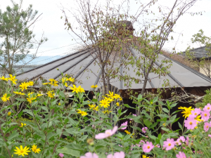 百姓庭園　畑の花と屋根