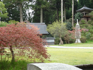 大蓮寺　新緑と芽吹きの木々