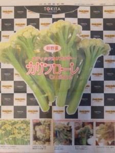 新しい野菜