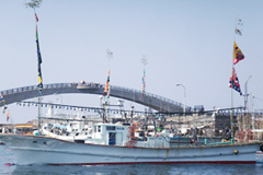 Деревня Химэдзу известна своей рыбной индустрией. 