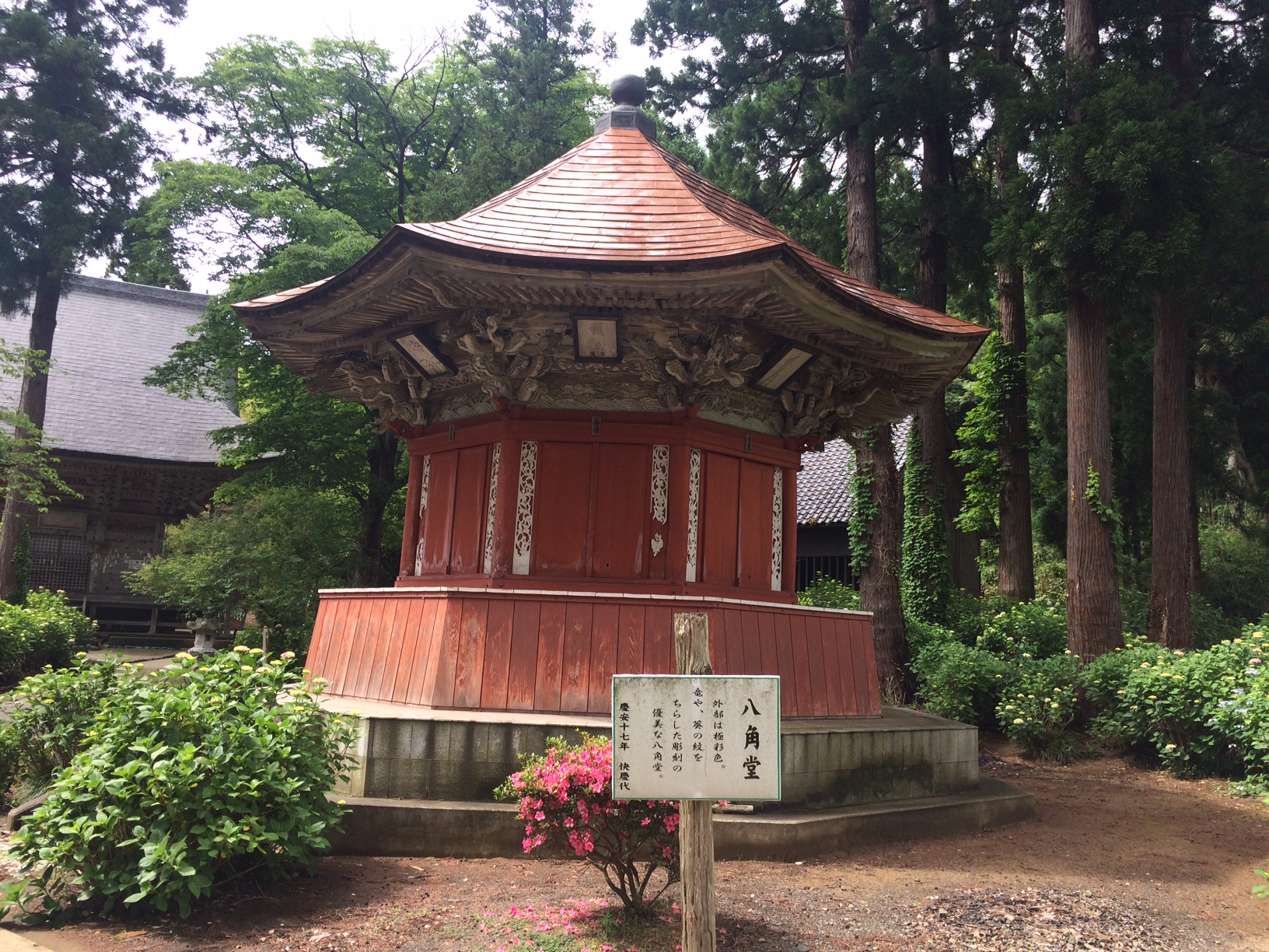 佐渡 蓮華峰寺の紫陽花 2018 佐渡日和
